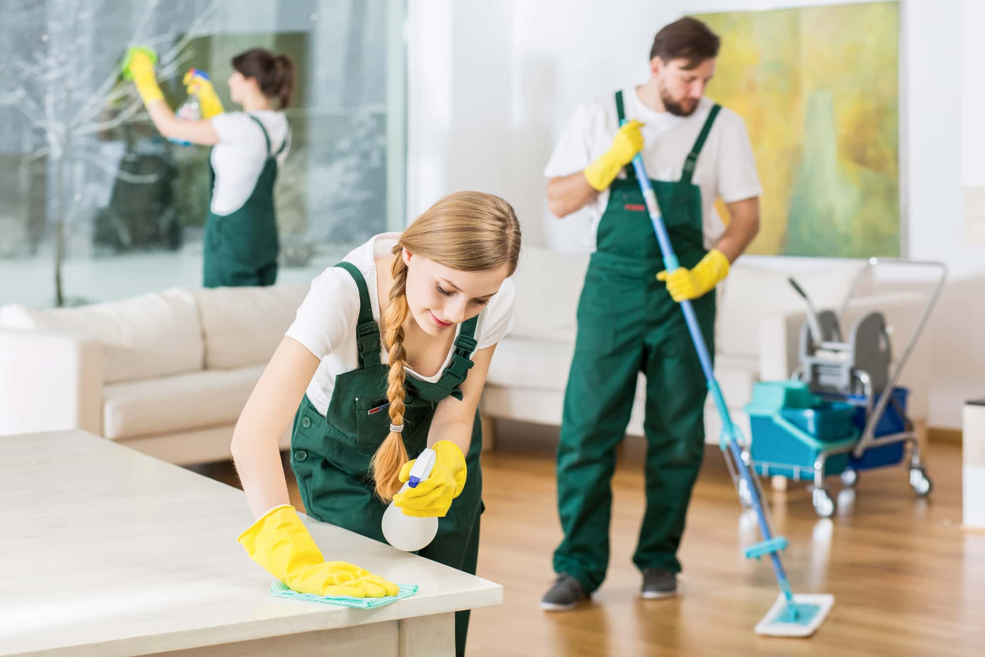 Building Cleaning & Maintenence Services